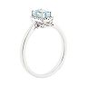 Sterling Silver Aquamarine & Diamond Accent Rectangle Halo Ring