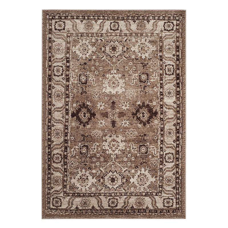 Safavieh Vintage Hamadan Beric Framed Medallion Rug, Brown, 8X10 Ft