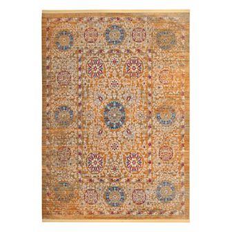 Safavieh Sutton Kingly Framed Floral Rug