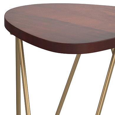 Simpli Home Patrice Accent End Table