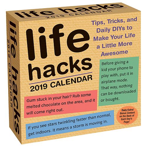 Life Hacks 2019 Daily Desk Calendar