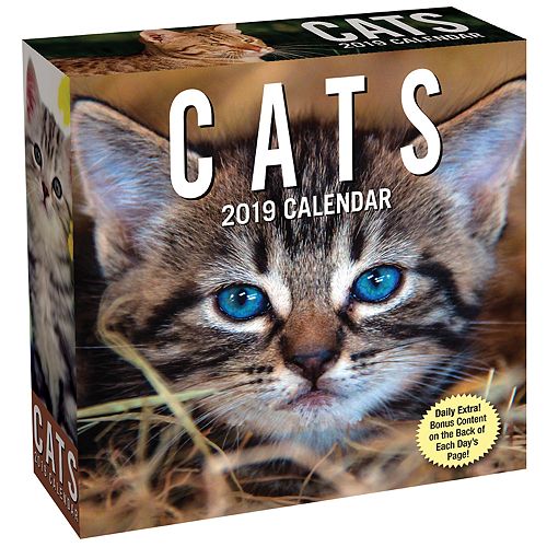 Cats 2019 Daily Desk Calendar