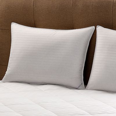 Cuddl duds pillows at kohl's best sale