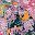 Navy Multi