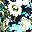Navy Print
