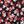 Navy Red Multi