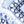Navy White Multi