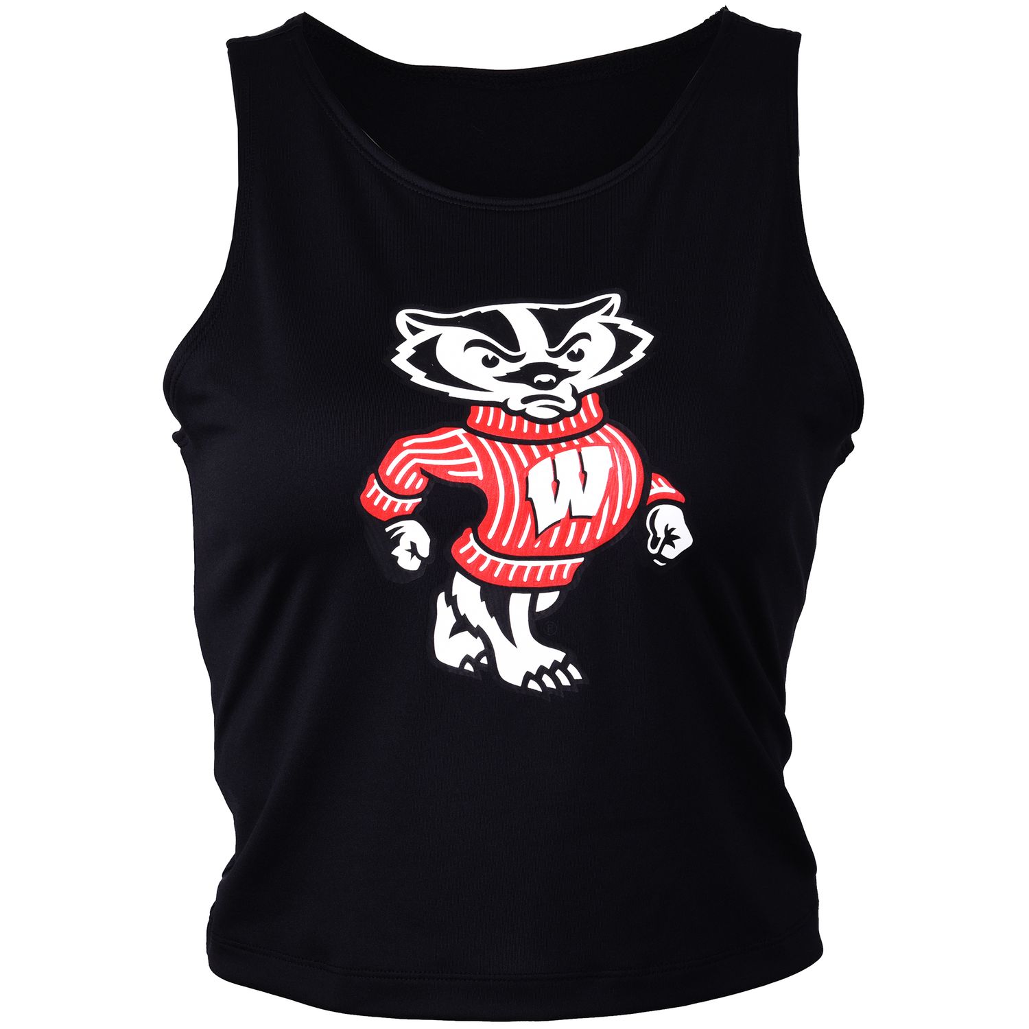 wisconsin badgers crop top