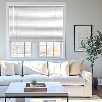 Chicology Cordless 1 in Mini Blinds