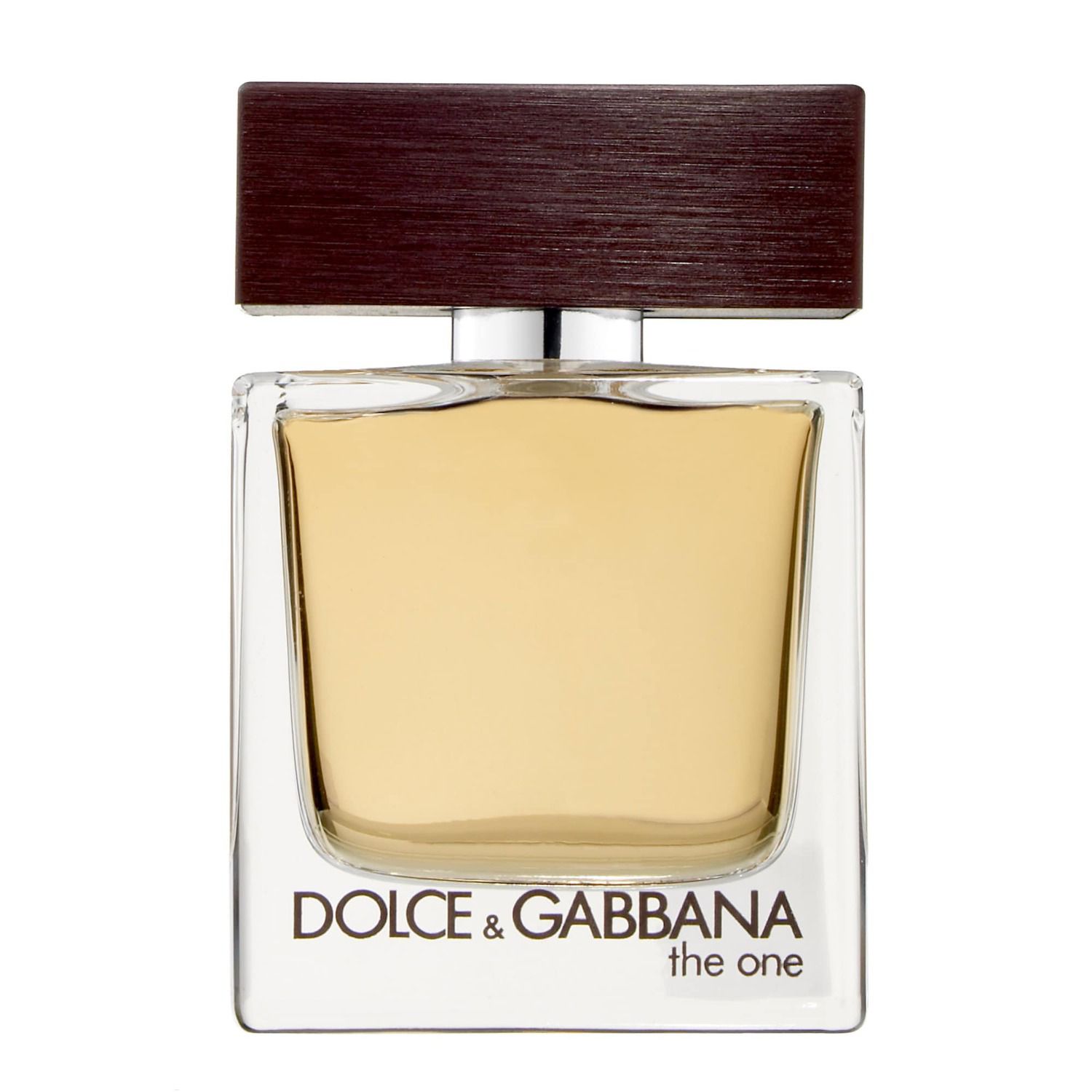 mens dolce and gabbana the one
