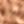 Rose Gold Tone