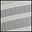 Grey Stripe