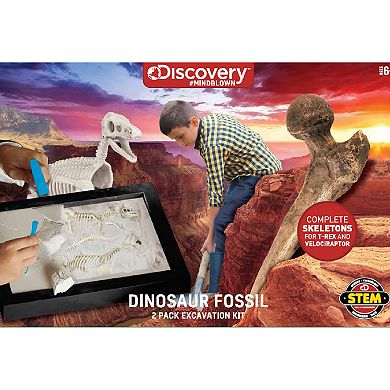 Discovery Dinosaur Fossil Dig
