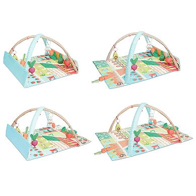 Skip Hop Baby Tummy Time Farmstand Grow & Play 3-in-1 Activity Play Gym