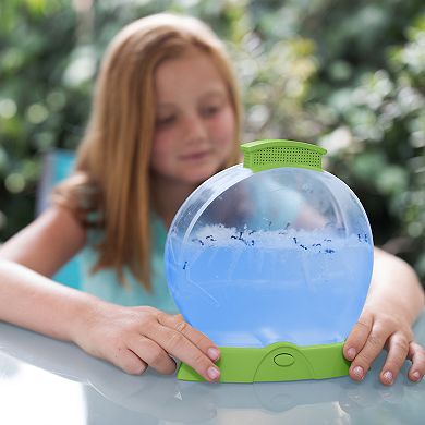 Educational Insights GeoSafari Day 'N' Night Ant Factory