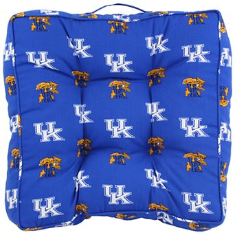 Kentucky Wildcats Floor Pillow or Pet Bed