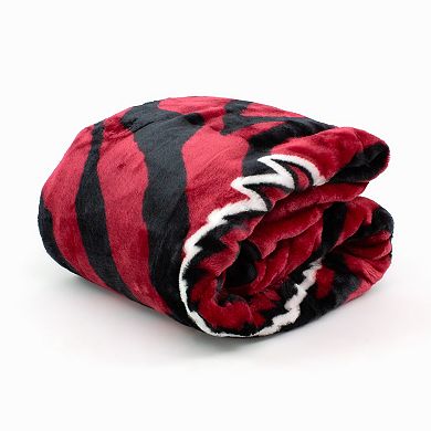 NCAA Arkansas Razorbacks Soft Raschel Throw Blanket