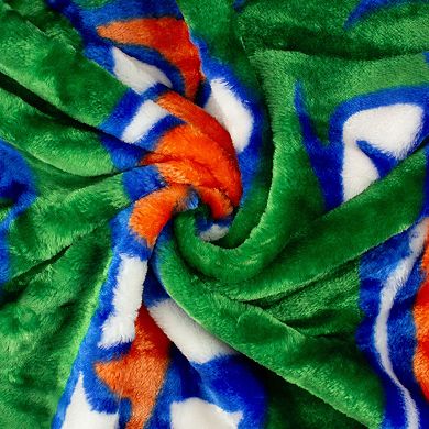 NCAA Florida Gators Soft Raschel Throw Blanket