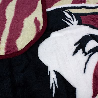 NCAA Florida State Seminoles Soft Raschel Throw Blanket
