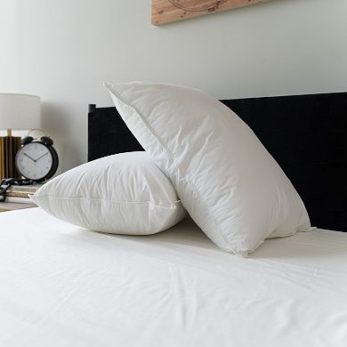 Sealy Elite 2-pack All Positions Pillow