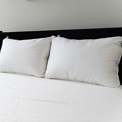 Sealy Elite 2-pack All Positions Pillow