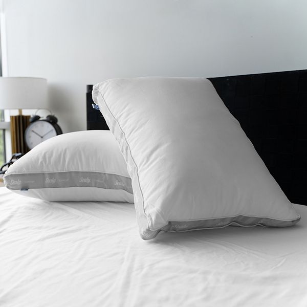 Sealy Elite 2pack Extra Firm Pillow