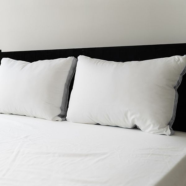 Sealy Elite 2pack Extra Firm Pillow