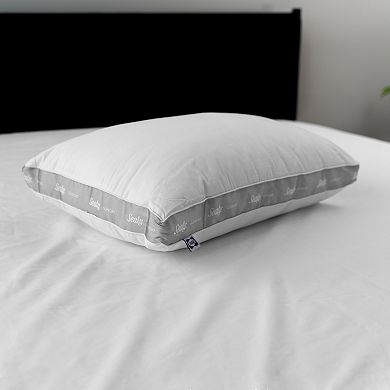 Sealy Elite 2-pack Extra Firm Pillow