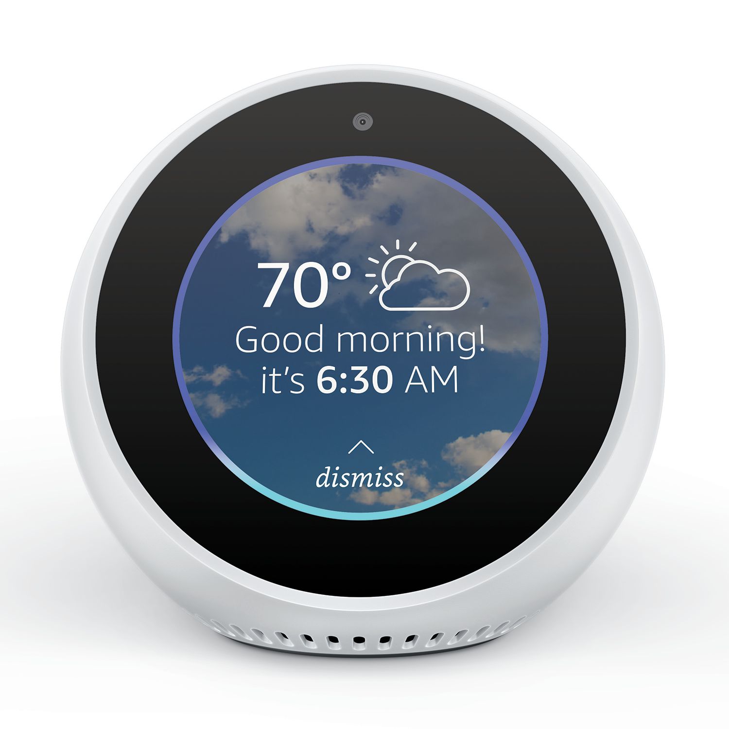 echo spot alarm