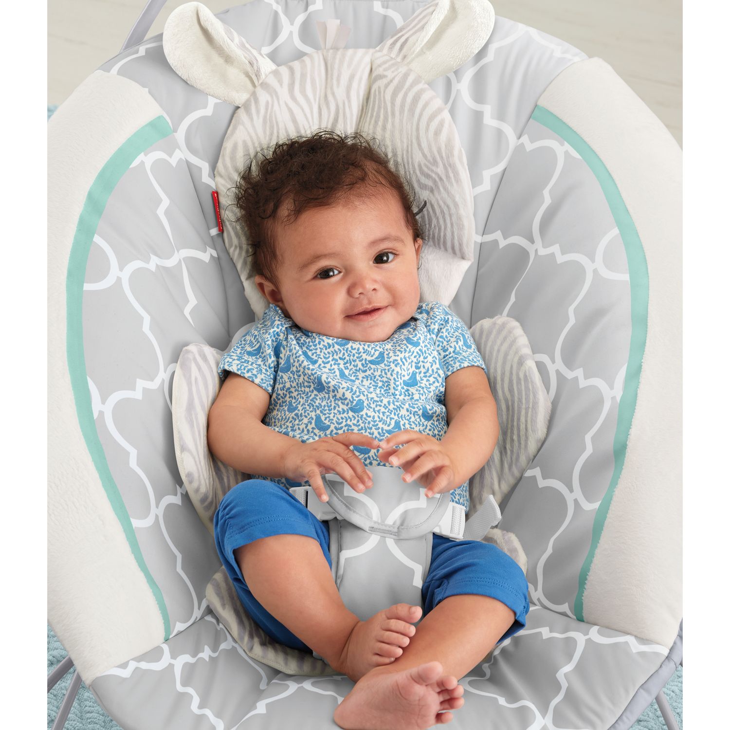 fisher price safari dreams bouncer