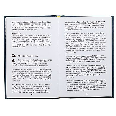 Great American Trivia Book by Publications International, Ltd.