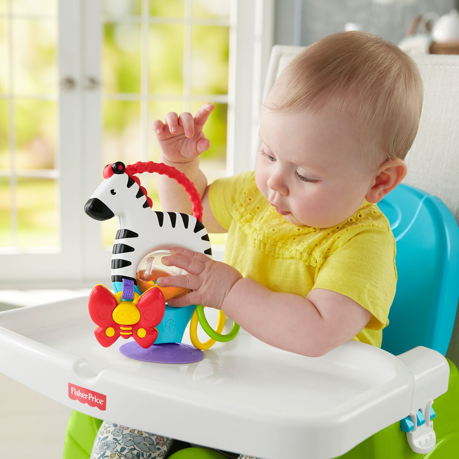 fisher price activity zebra