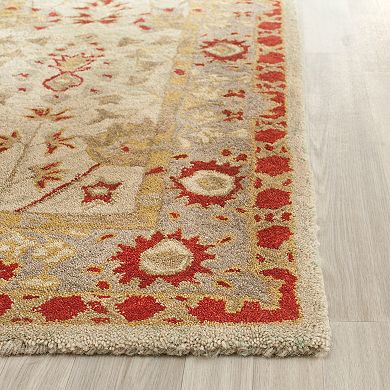 Safavieh Anatolia Charlotte Framed Floral Wool Rug