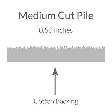 Safavieh Anatolia Charlotte Framed Floral Wool Rug