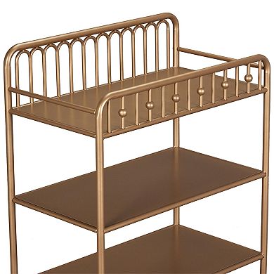 Little Seeds Monarch Hill Ivy Metal Changing Table