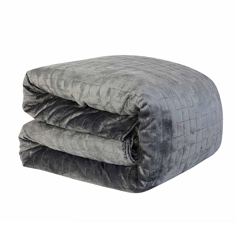 Altavida Plush Microfiber Weighted Blanket with Minky Duvet Cover, Grey, 20
