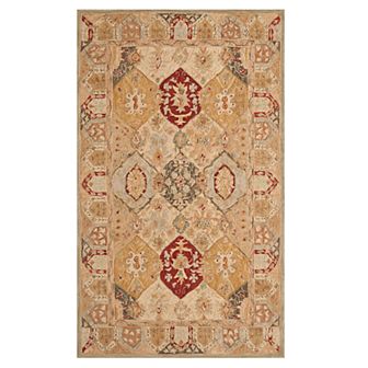 Safavieh Anatolia Galelyn Framed Floral Wool Rug