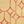 Ivory Coral
