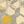 Ivory Gray