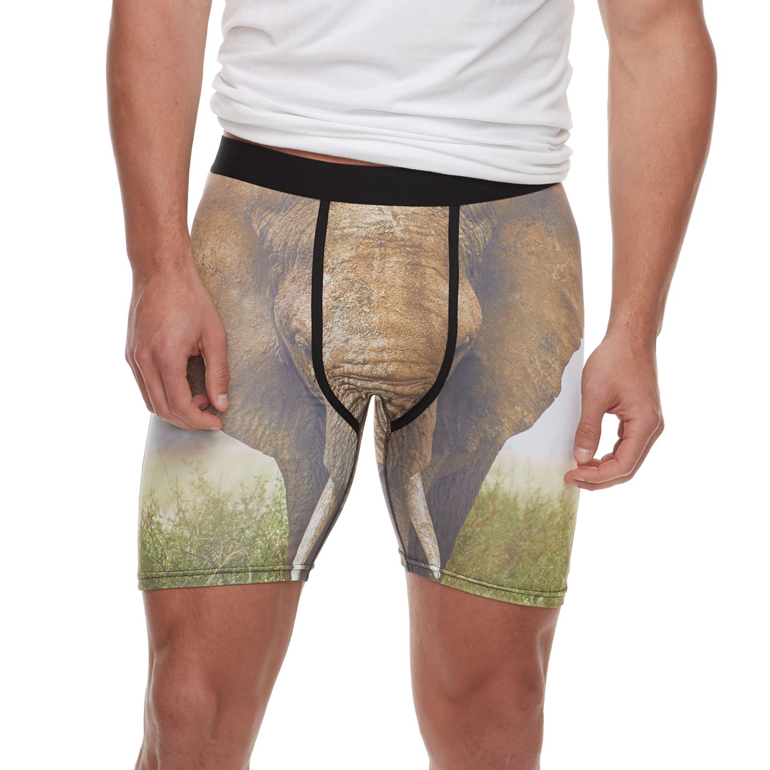 elephant boxers