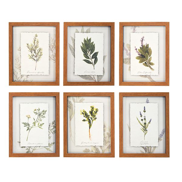 New View Botanical Framed Wall Art 6 Piece Set