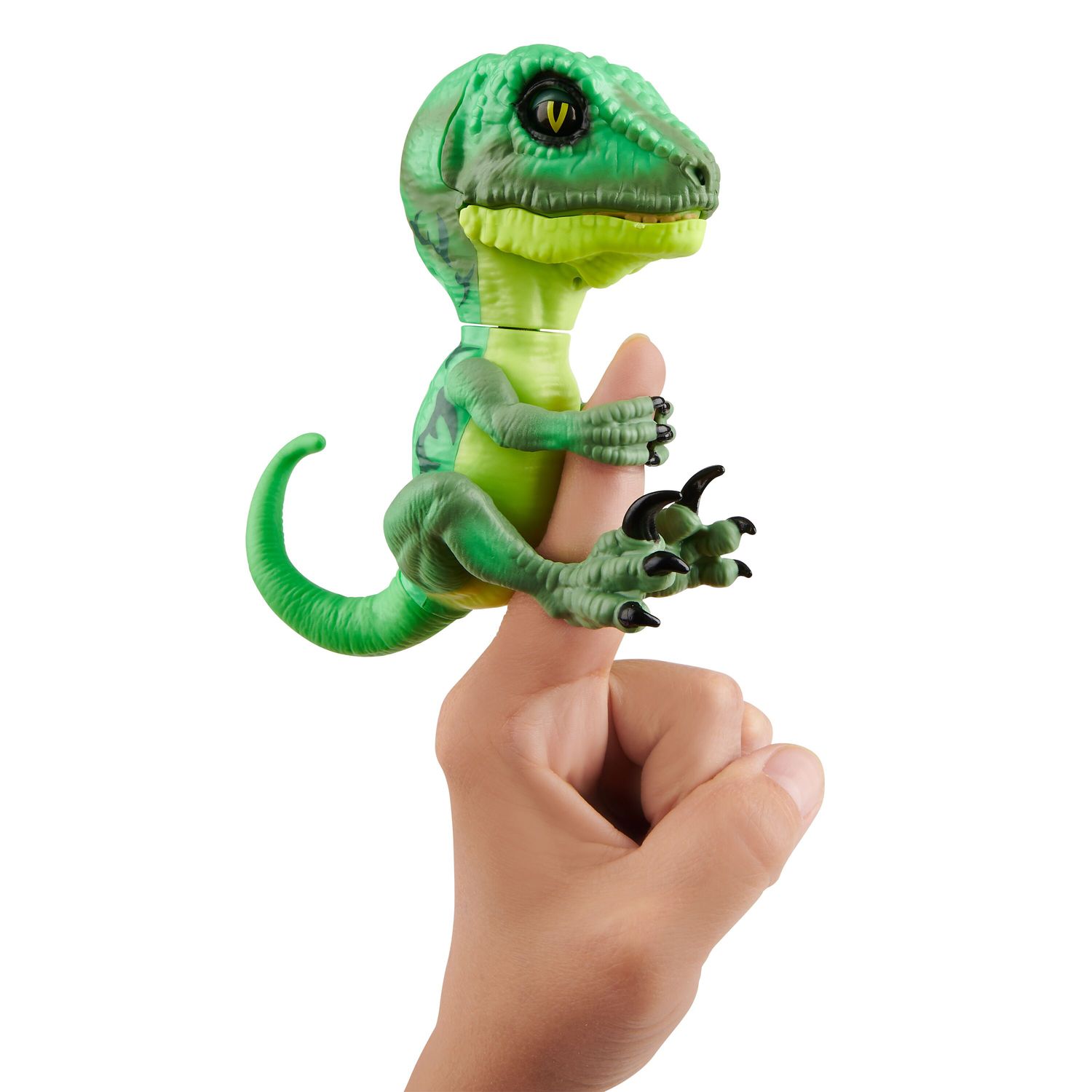 fingerlings raptor