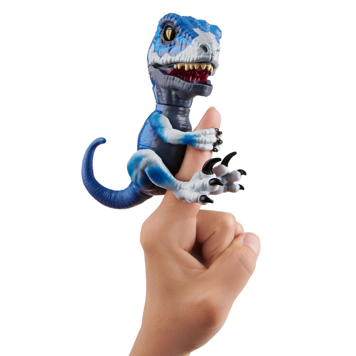 raptor fingerlings