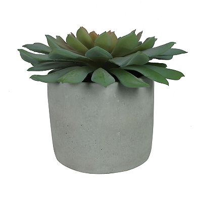 Sonoma Goods For Life® Artificial Succulent Table Decor