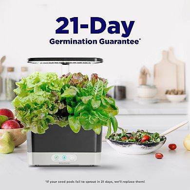 AeroGarden Harvest with Gourmet Herb Seed Pod Kit