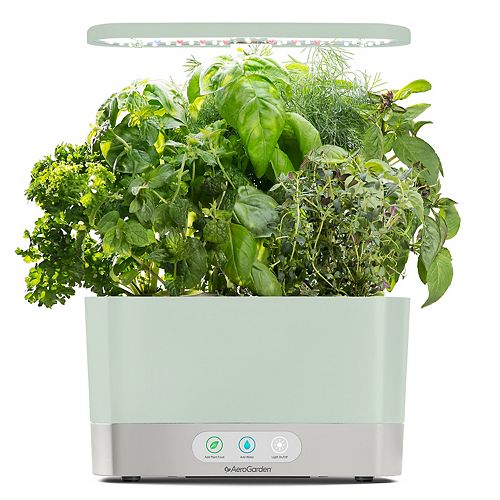 AeroGarden Harvest Indoor Garden with Gourmet Herb Seed Pod Kit