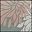 Blush Gray