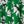 True Green Ivory
