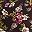 Plum Fall Floral