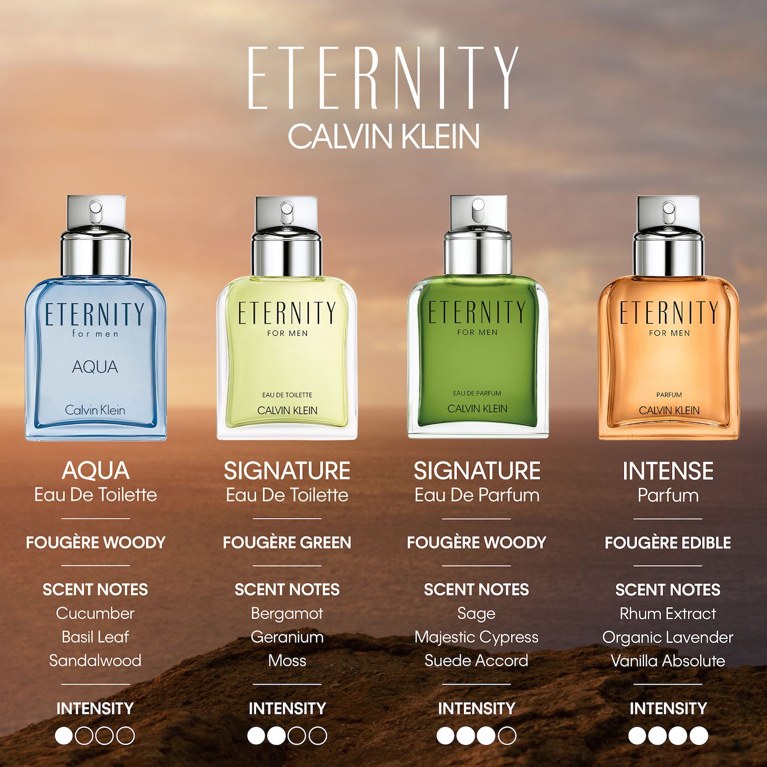 Calvin Klein ETERNITY Intense for Men Eau de Parfum
